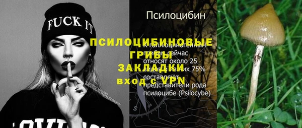 соль ск Алексин