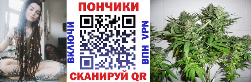 где продают   Сасово  KRAKEN tor  Бошки марихуана SATIVA & INDICA 